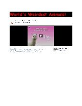 World's Weirdest Animals! Dogmeat h...
