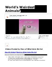 World's Weirdest Animals! Dogmeat h...