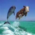 split_Test increase landing page conversion