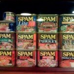 blog traffic spam