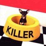 twitter-killer killer twitter traffic generation image