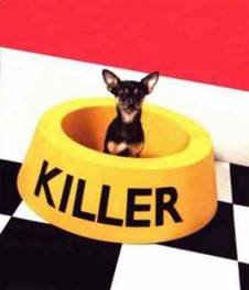 twitter-killer killer twitter traffic generation image