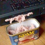 spam blog comment spam