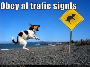 website traffic generation image