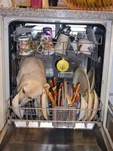 aweber email marketing list cleaning photo