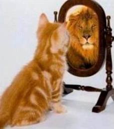 improve rankings image how to improve google rankings
