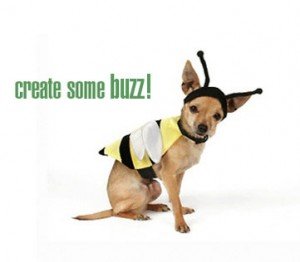 traffic source buzz