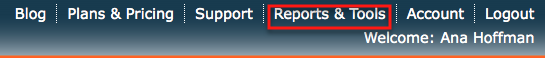 create report marjestic seo