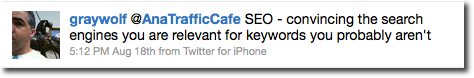 What is seo defined by Michael Wolf seo by gray wolf