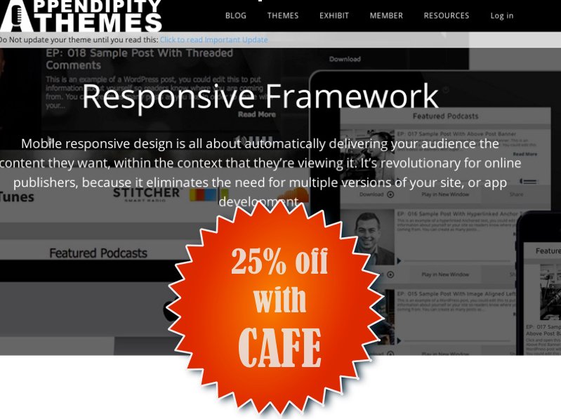 Appendipity Genesis Themes Black Friday sale - 25% off