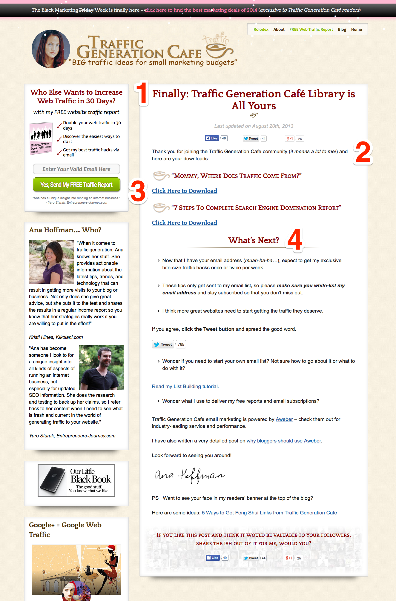 Last step in list building funnel: Download page