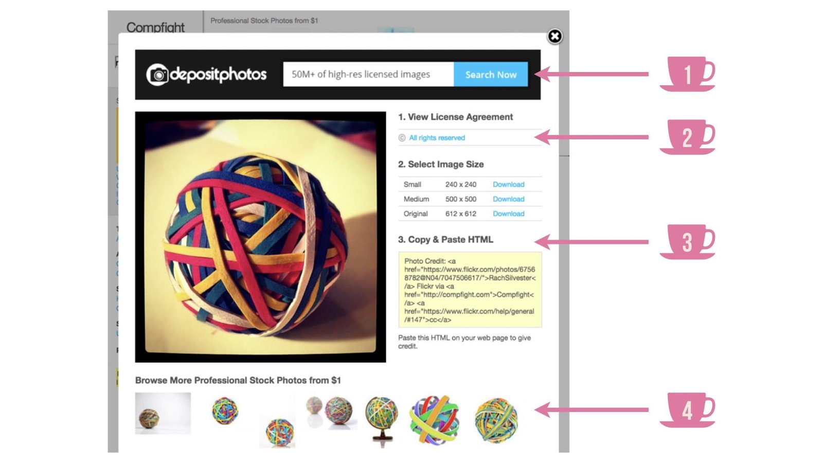 misleading copyright photo examples